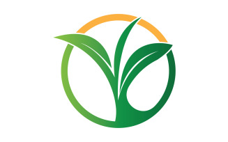 Natural leaf mint green logo illustration design vector v28