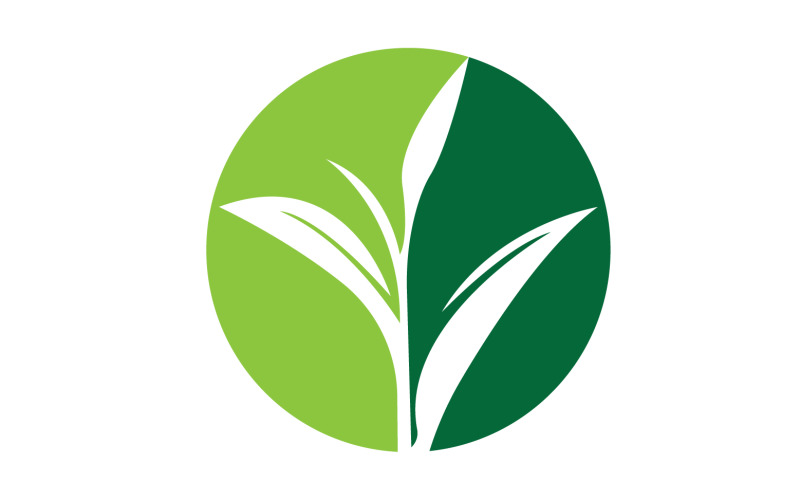 Natural leaf mint green logo illustration design vector v32 Logo Template