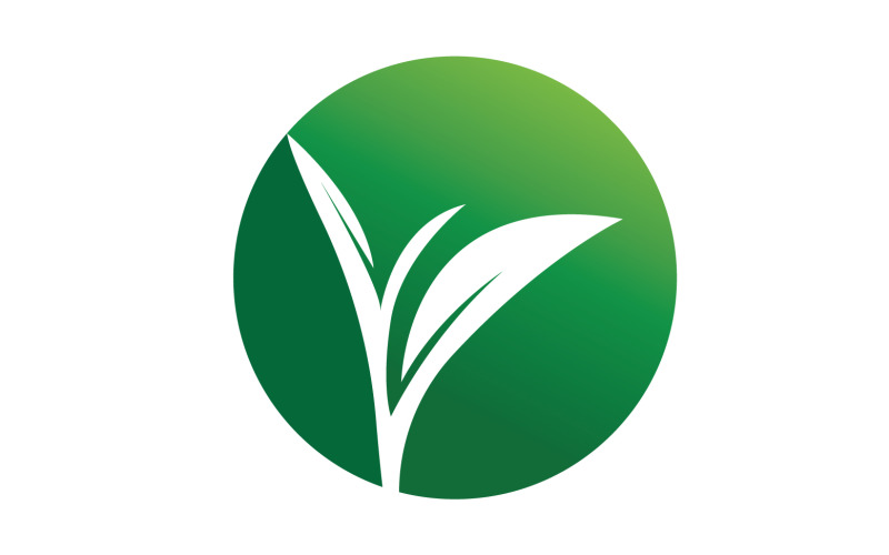 Natural leaf mint green logo illustration design vector v34 Logo Template