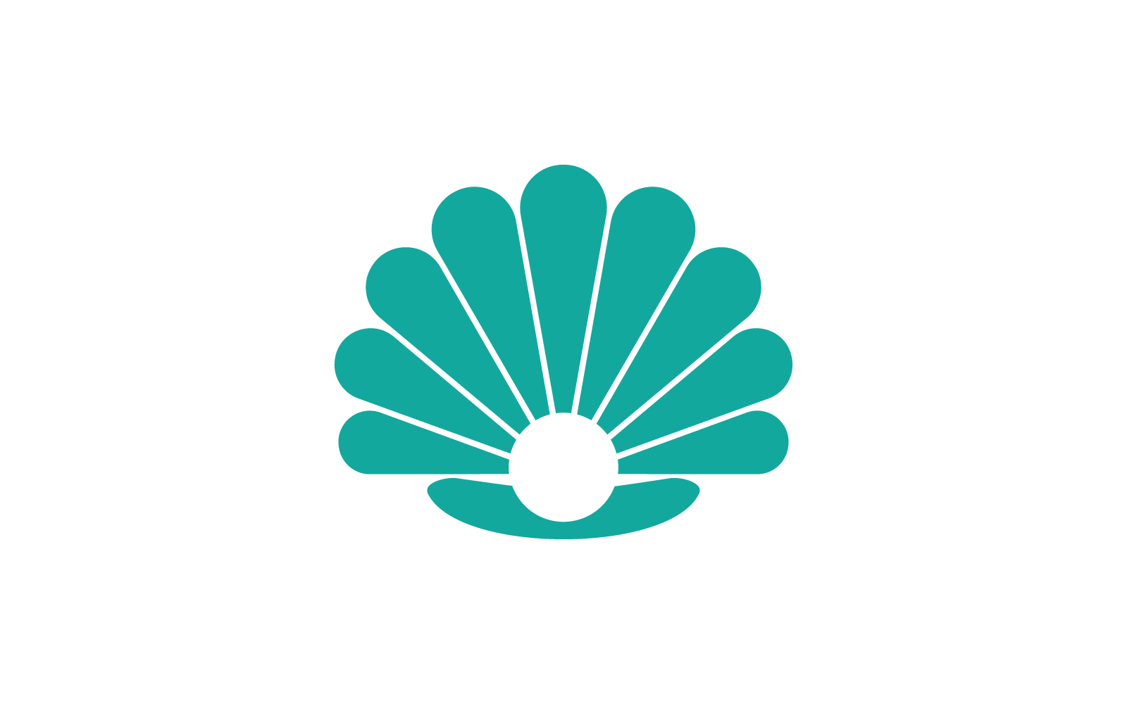 Shell design