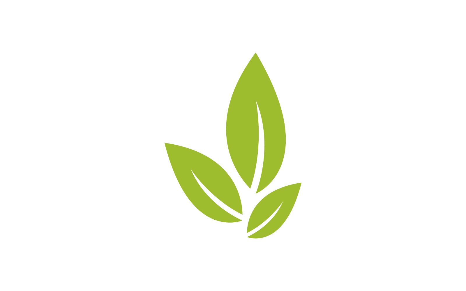 Green leaf illustration nature design Logo Template