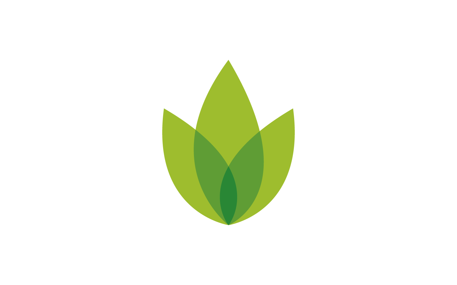 Green leaf illustration nature logo template Logo Template