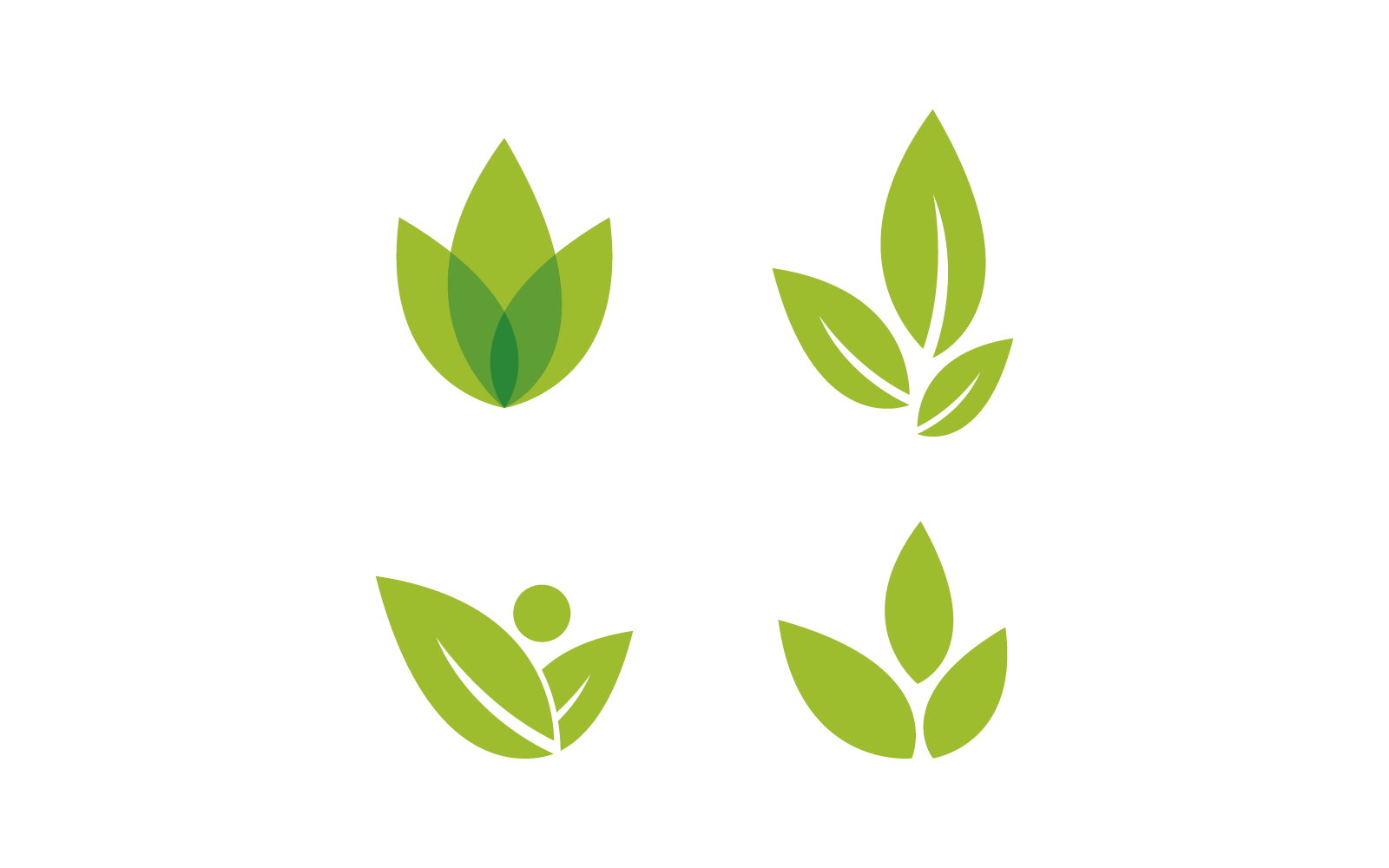 Green leaf illustration nature logo vector design template Logo Template