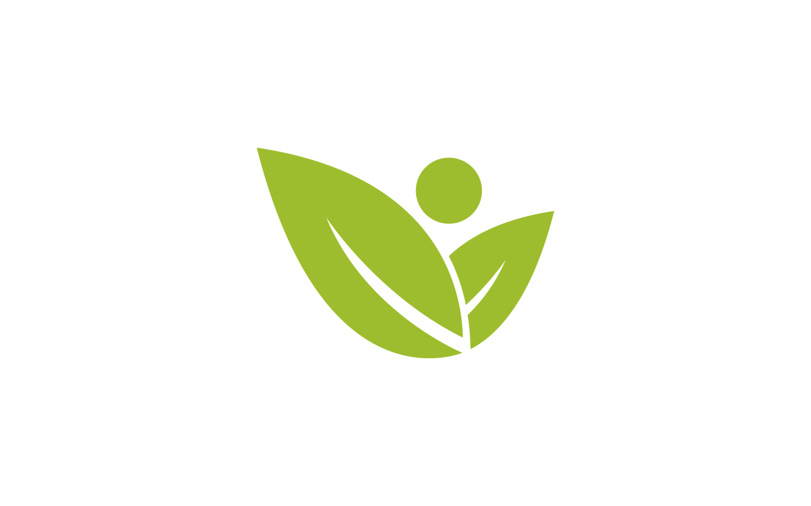 Green leaf nature illustration  logo design
