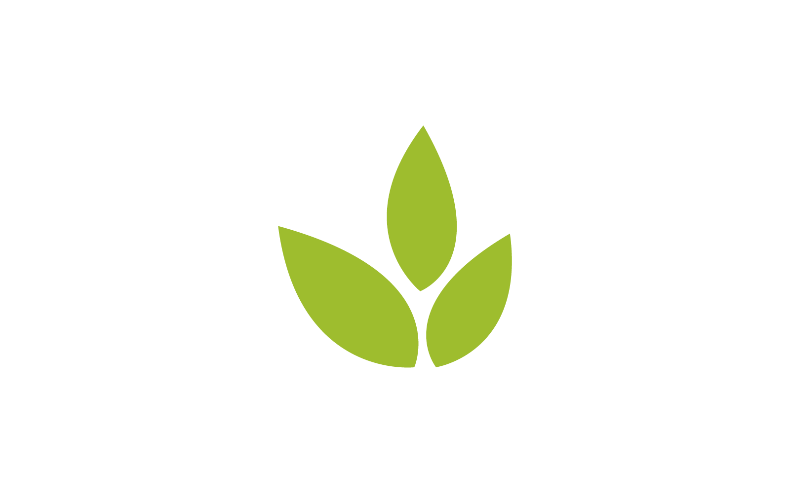 Green leaf nature logo illustration design