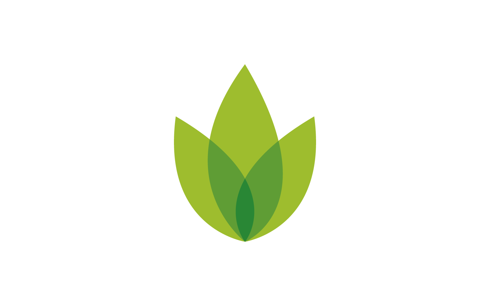 Modello di logo della natura dell&amp;#39;illustrazione della foglia verde