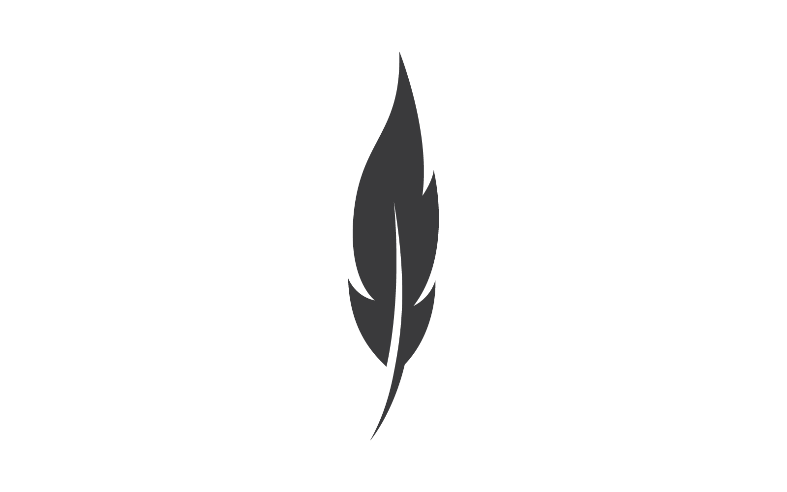 Feather ilustration logo vector template Logo Template