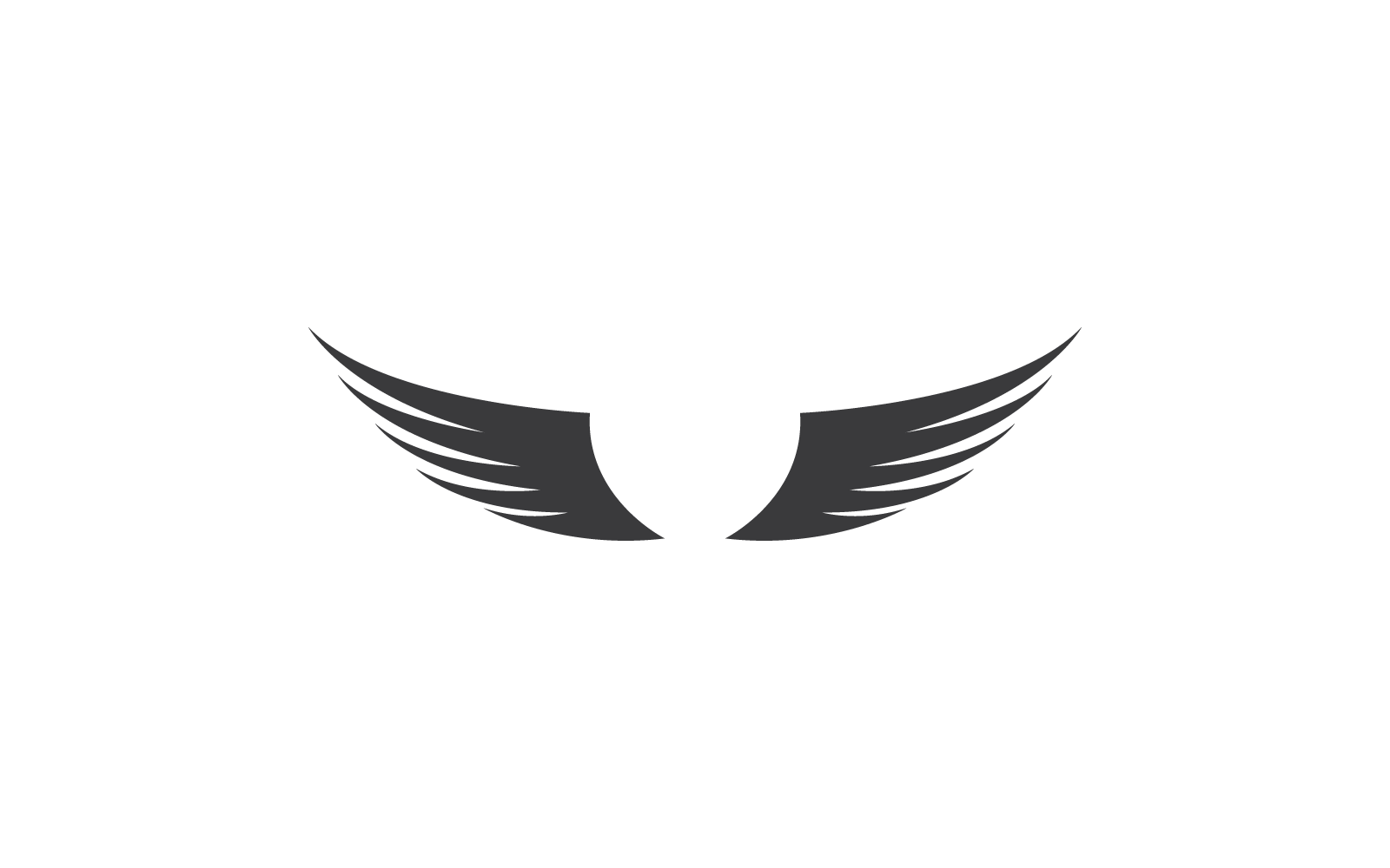 Wing illustration logo flat design template