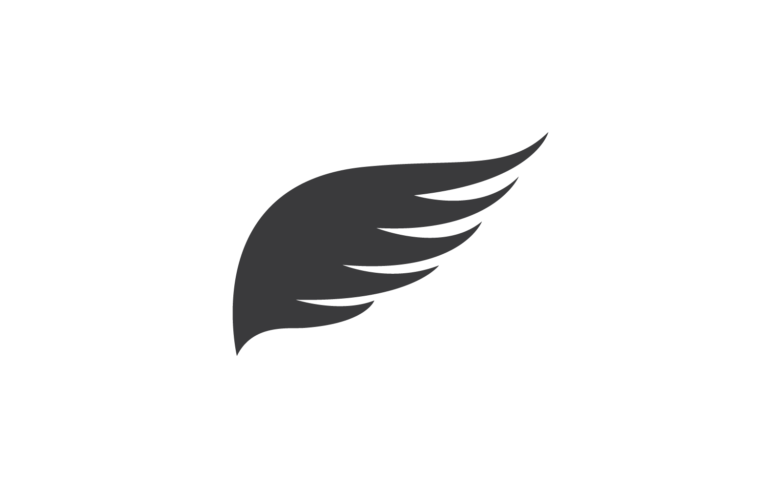 Wing illustration vector logo design template