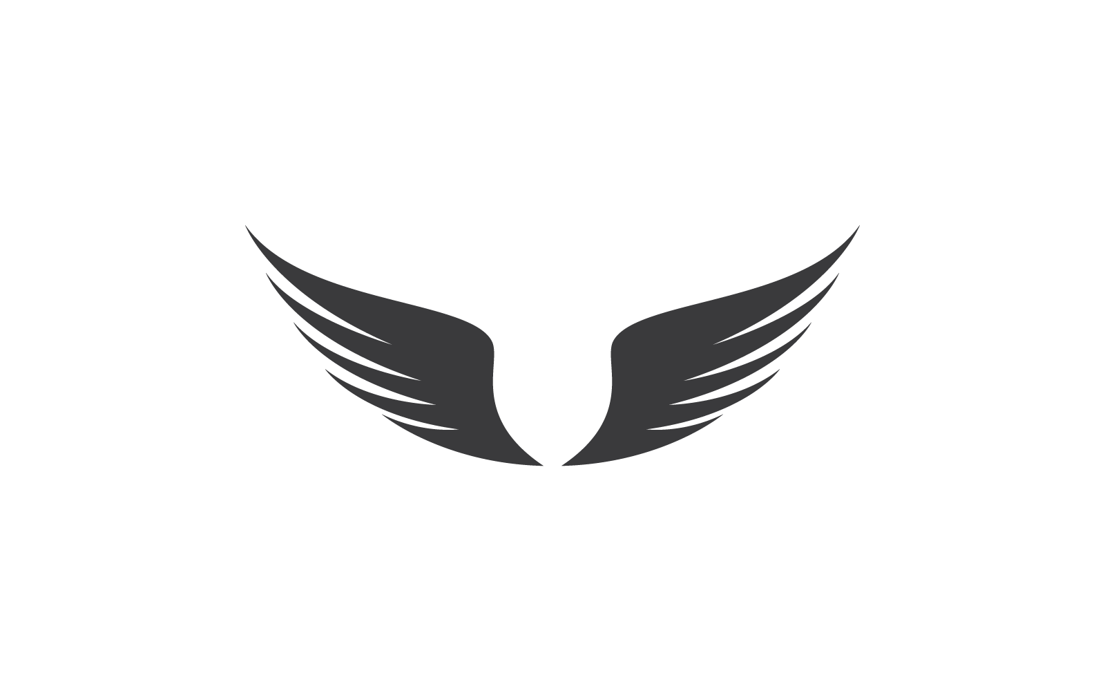 Wing logo vector design illustration template