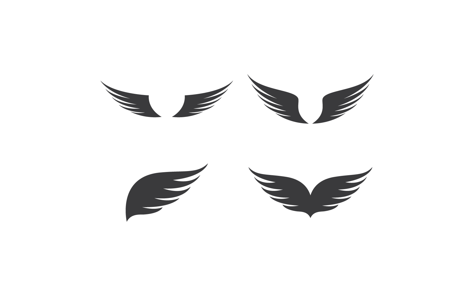 Wing illustration logo vector template flat design