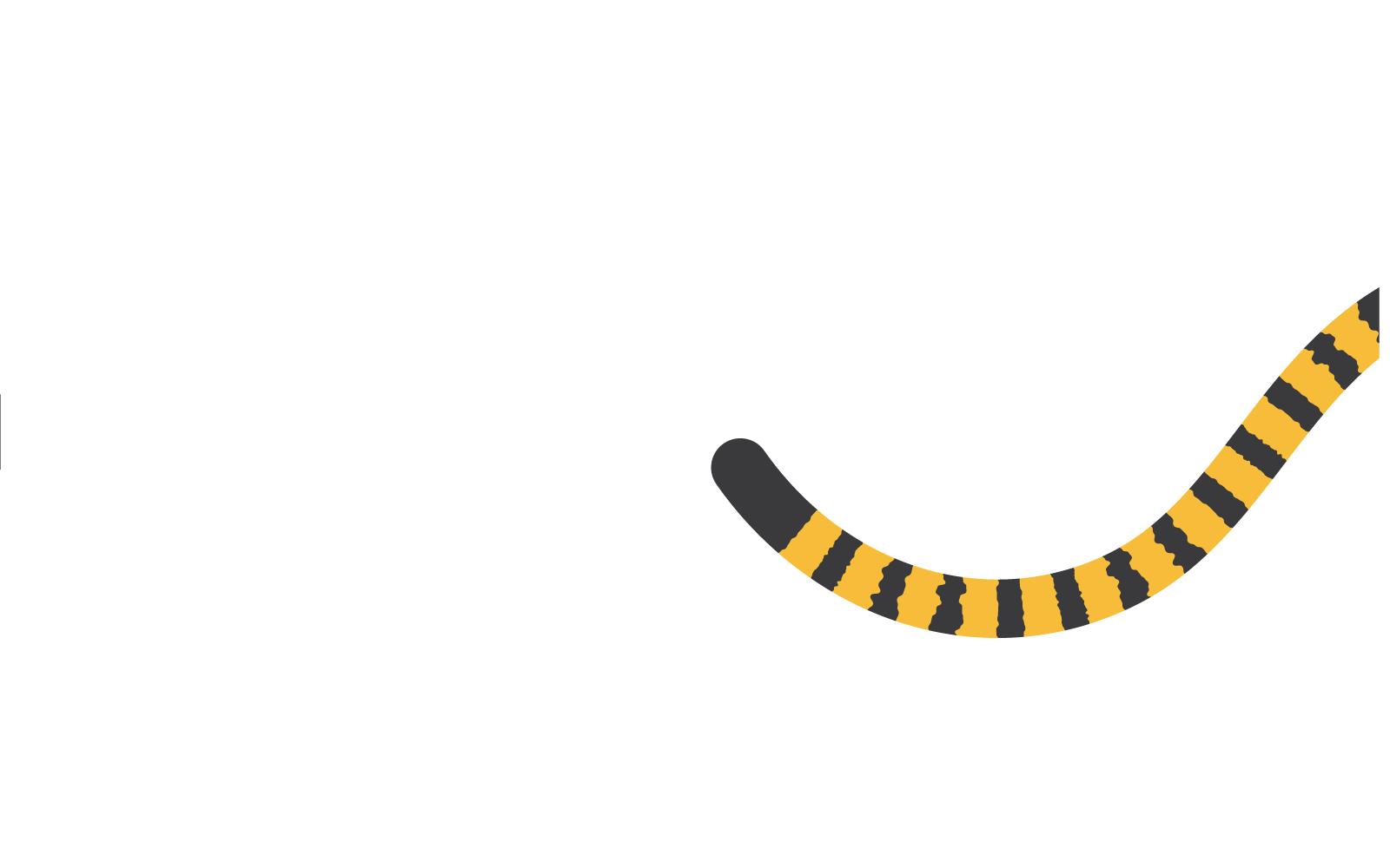 Tigris farok üres hely háttér logó vector design