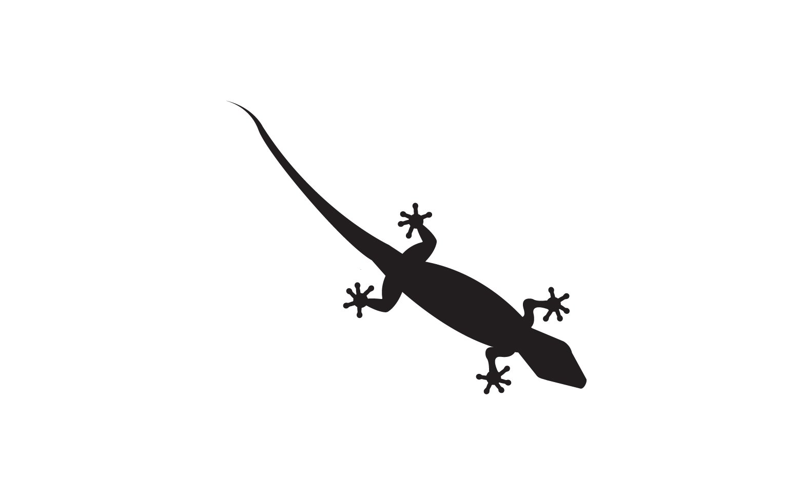 Kit Graphique #392125 Reptile Animal Divers Modles Web - Logo template Preview