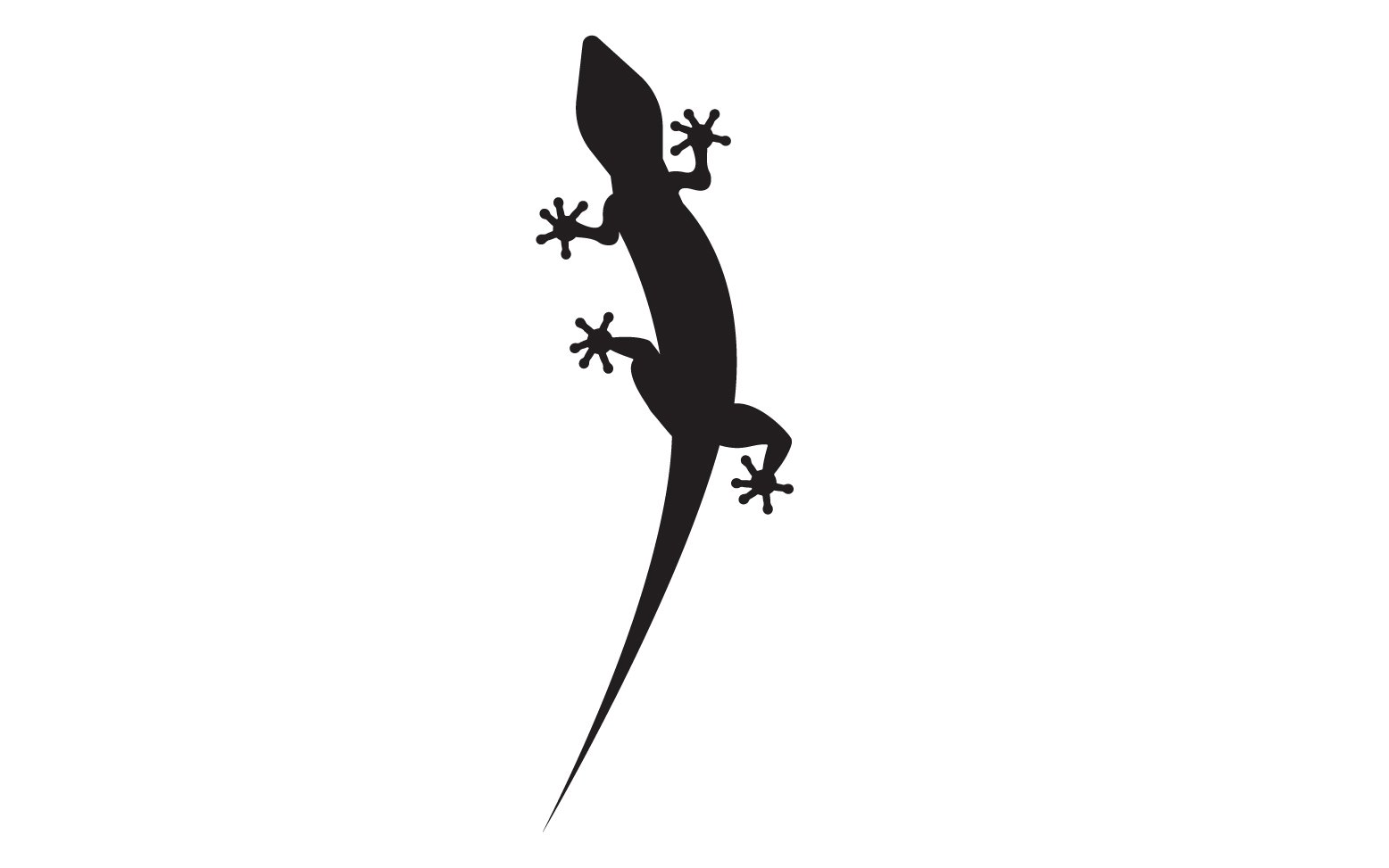 Kit Graphique #392133 Animal Camlon Web Design - Logo template Preview
