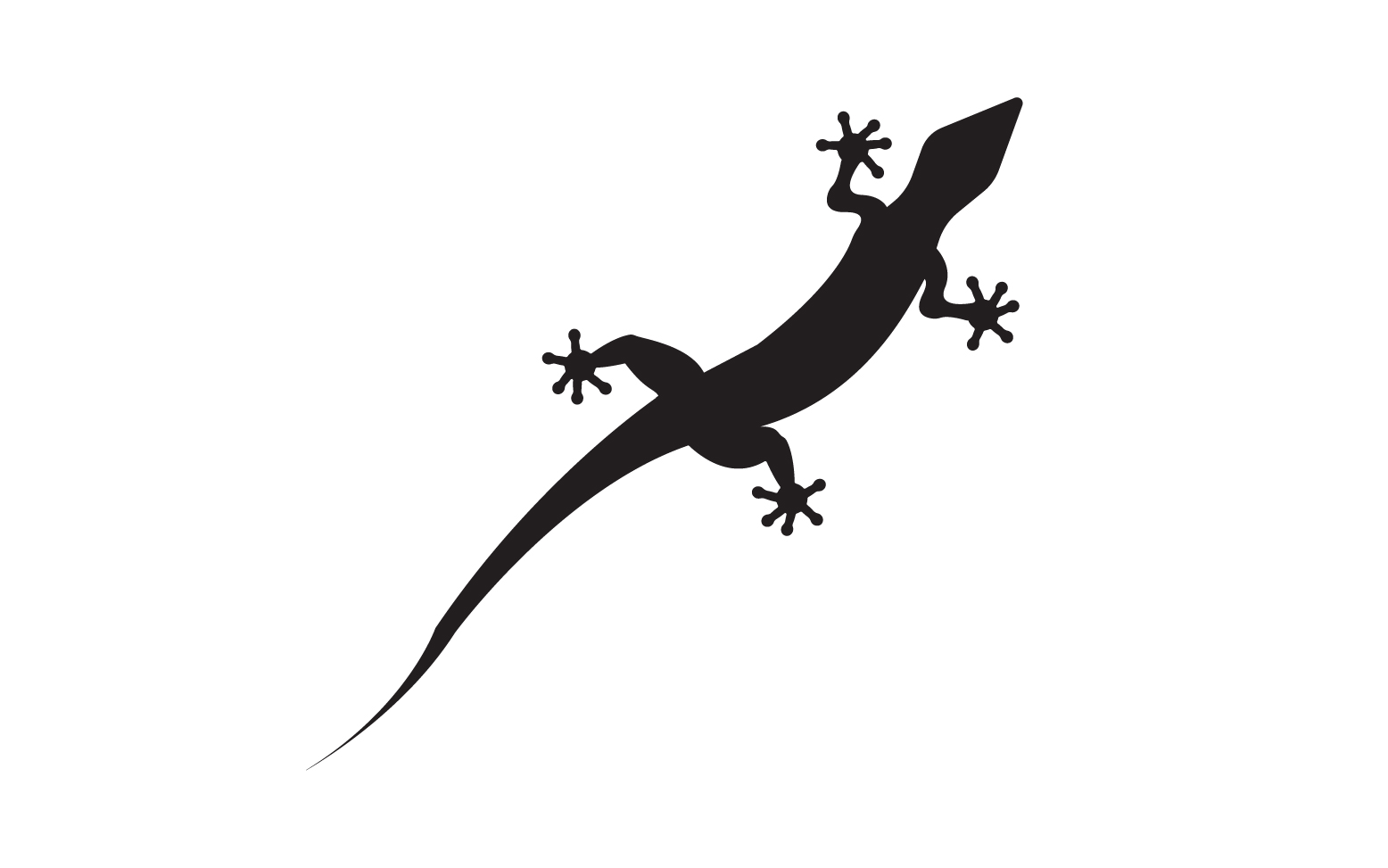 Kit Graphique #392151 Reptile Animal Divers Modles Web - Logo template Preview