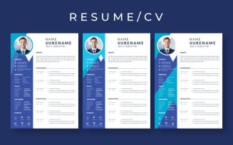 Corporate and professional blue resume curriculum layout