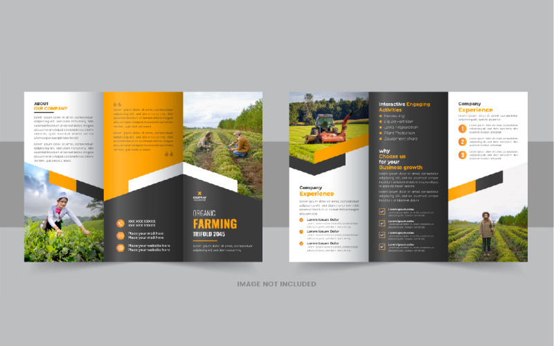 Lawn care trifold brochure or Agro tri fold brochure design layout Corporate Identity
