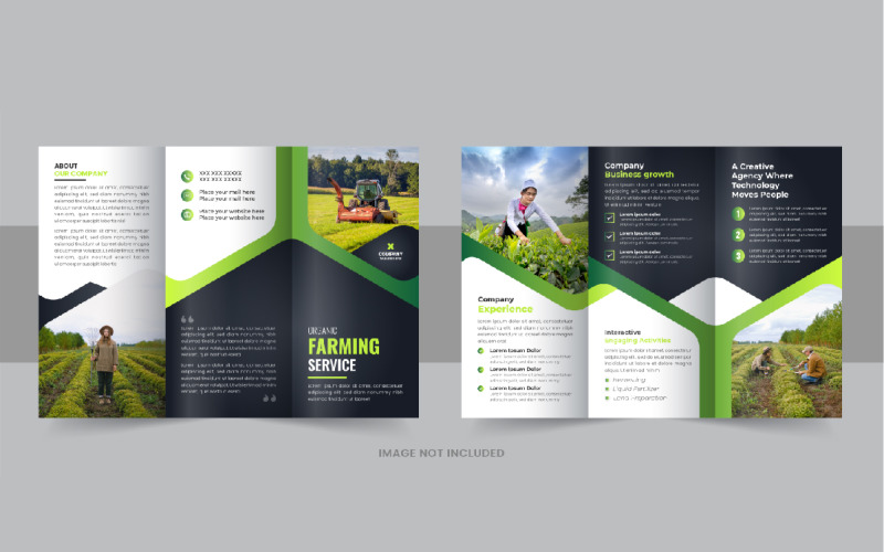 Lawn care trifold brochure or Agro tri fold brochure layout Corporate Identity