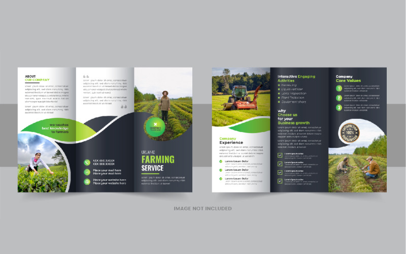 Lawn care trifold brochure or Agro tri fold brochure template Corporate Identity