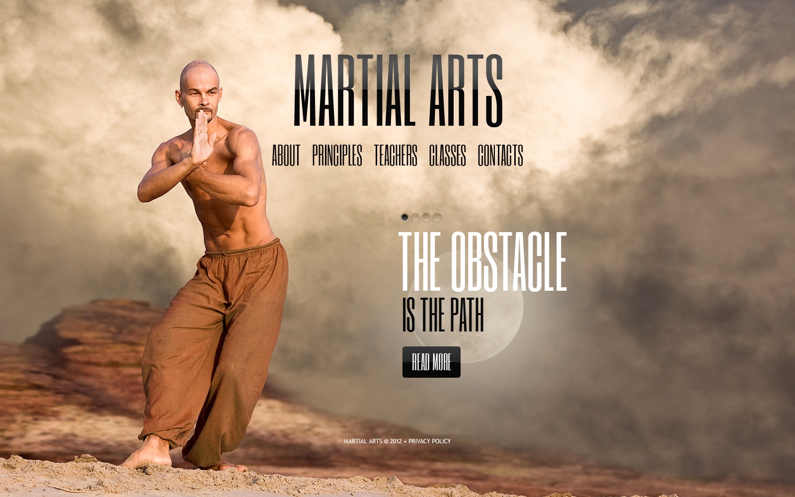Martial Arts Website Template #39339