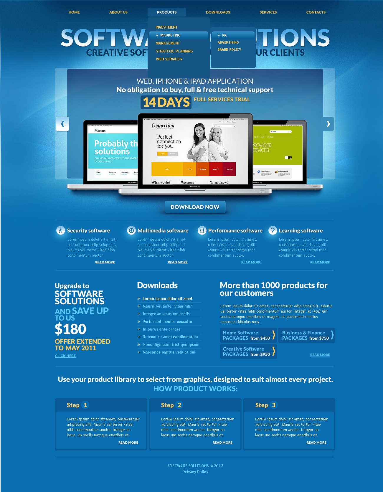 Software Website Template 39302