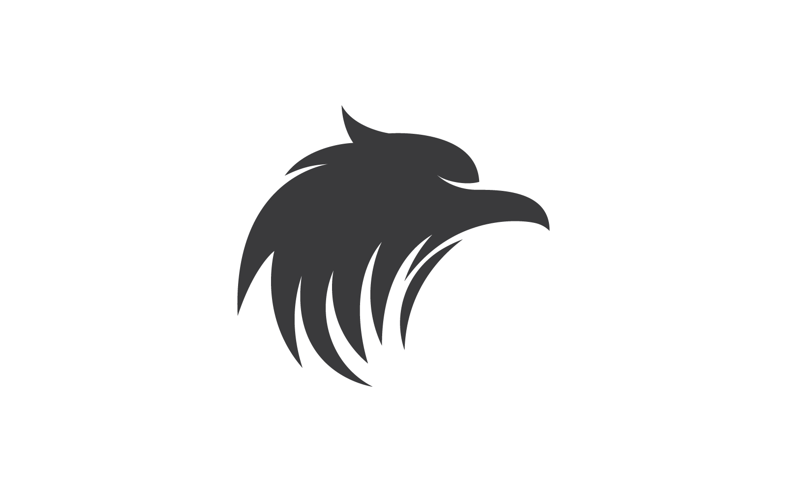 Falcon eagle bird illustration logo template