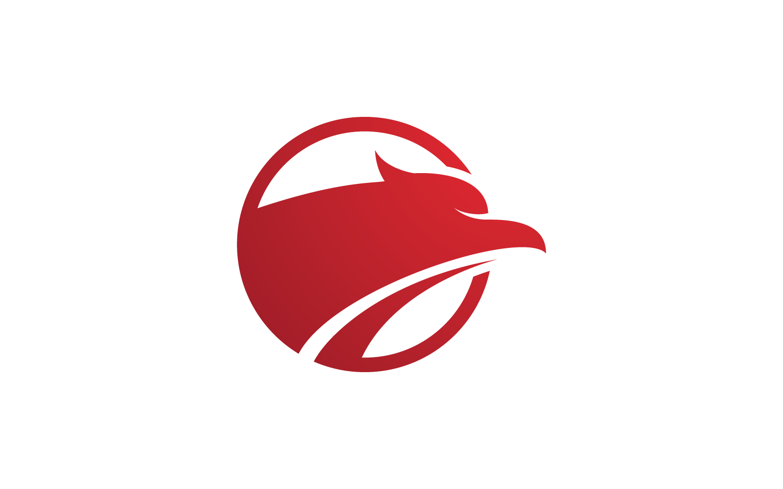 Falcon eagle bird illustration logo vector design