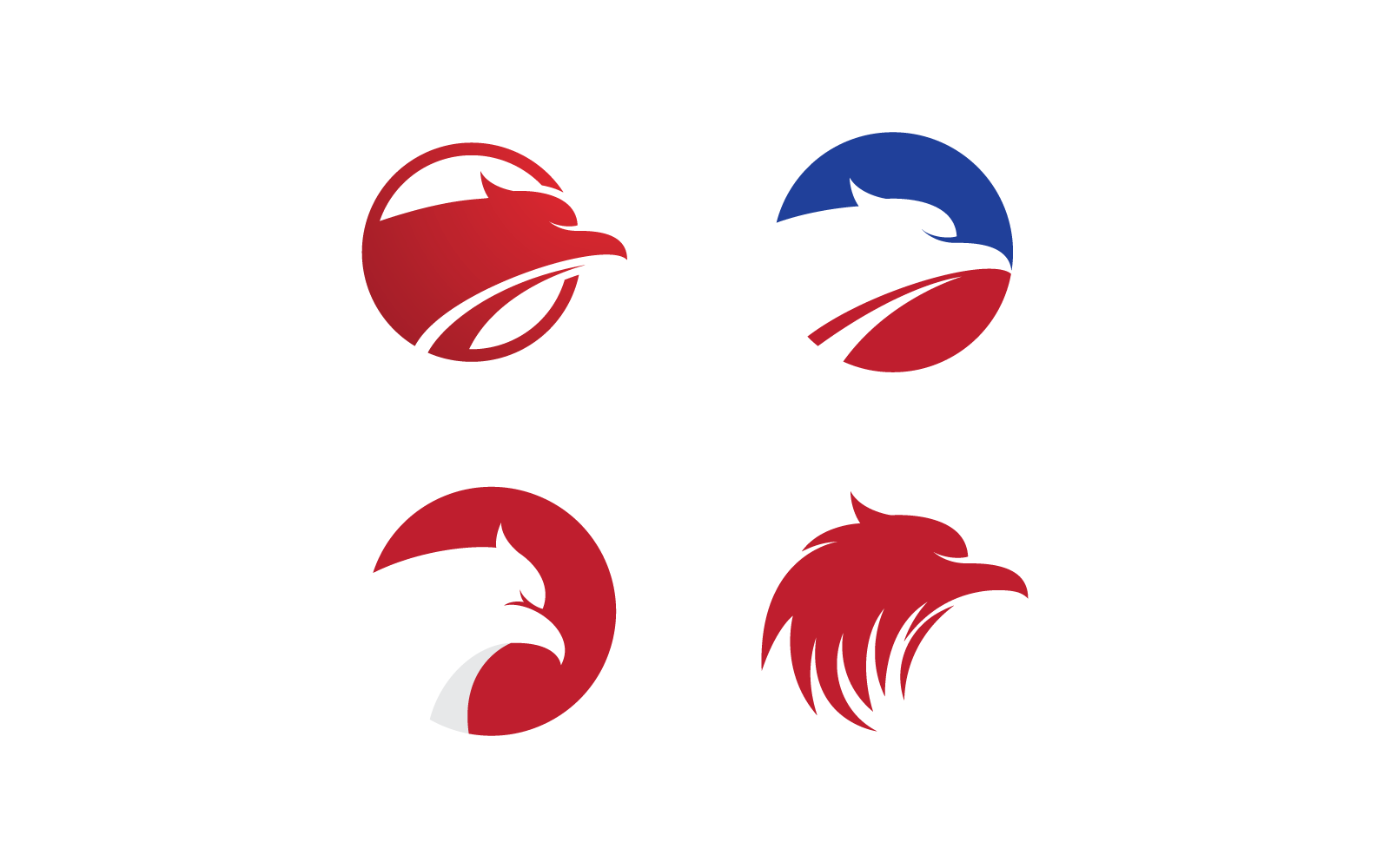 Falcon eagle bird illustration vector logo design