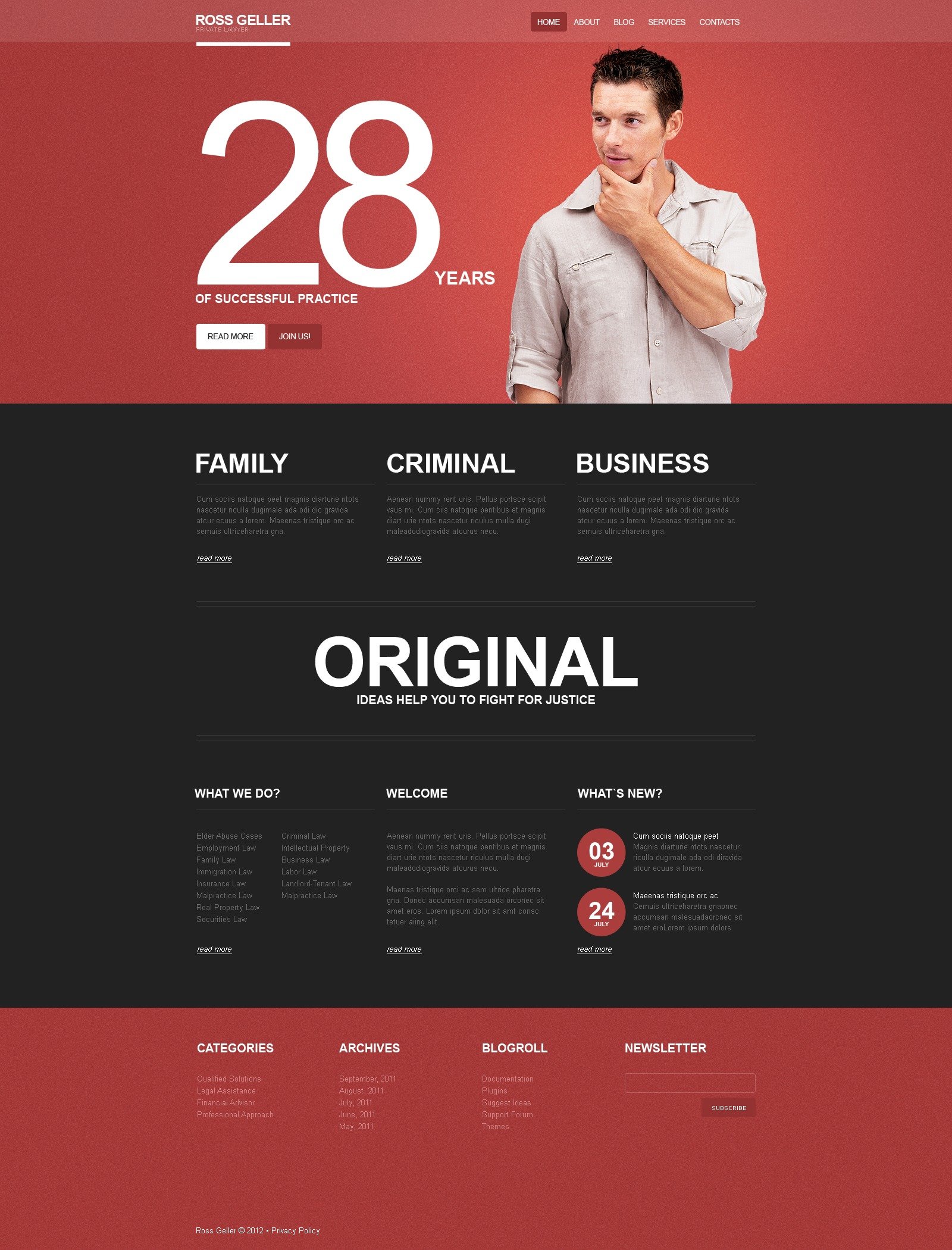 Avukat Wordpress #39445 - Ekran resmi