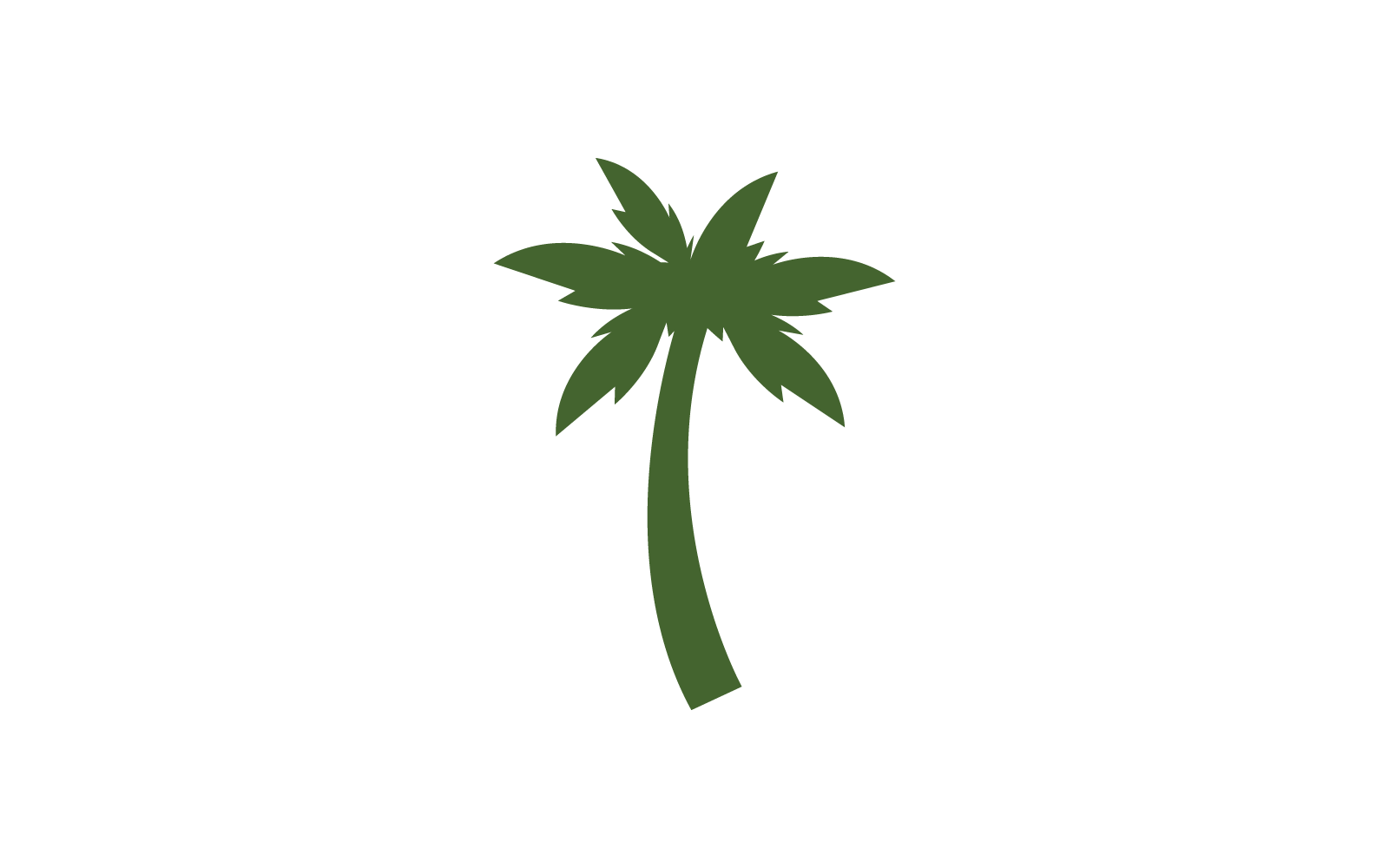 Palm tree leaf  illustration logo vector design
