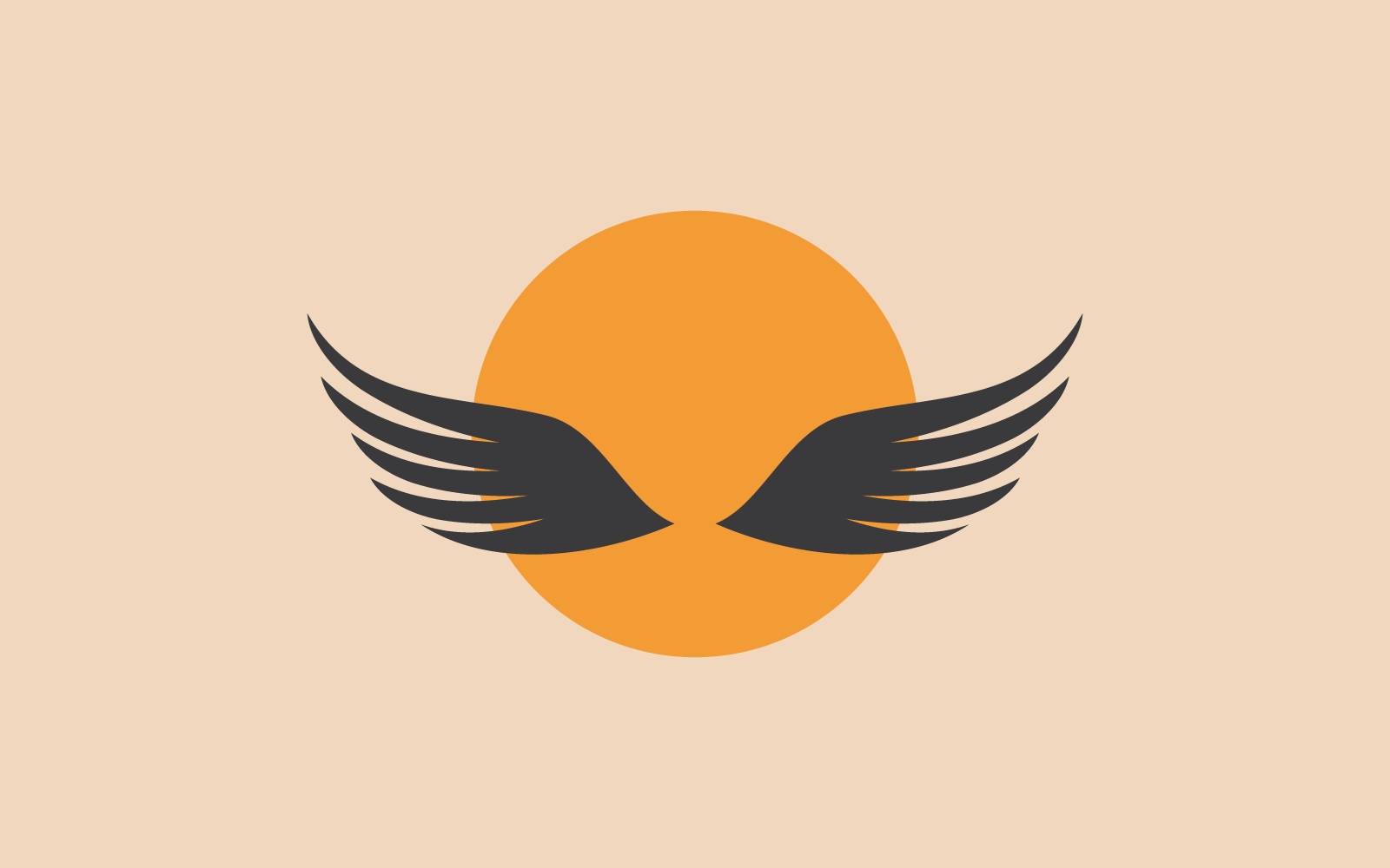 Wing illustration icon vector design Logo Template