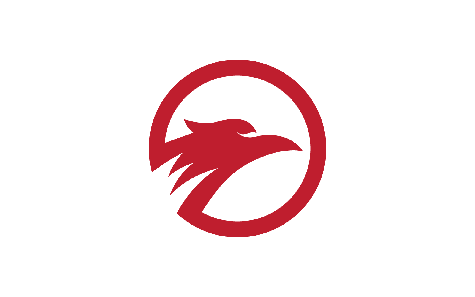 Falcon eagle bird illustration design logo template