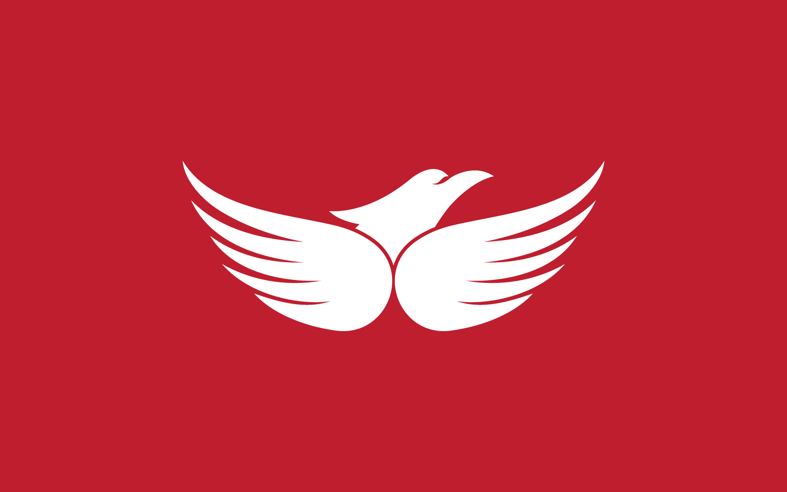 Falcon eagle bird illustration logo design vector template