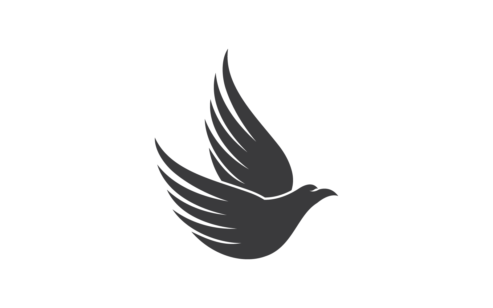 Falcon eagle bird illustration logo vector flat design Logo Template