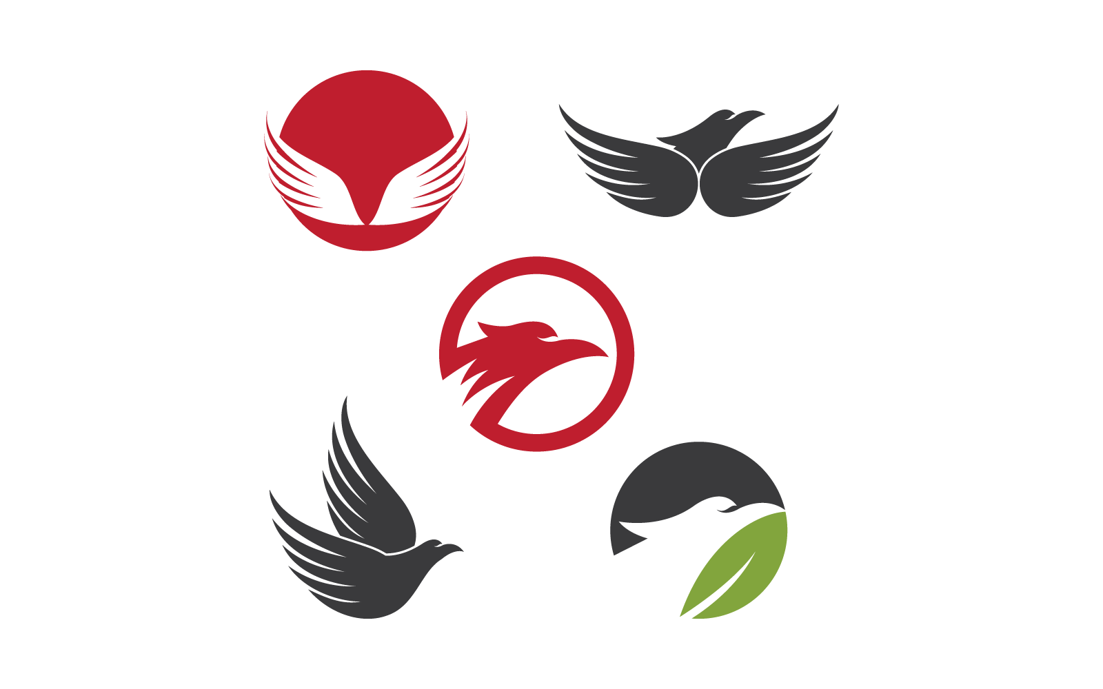 Falcon eagle bird vector illustration logo design
