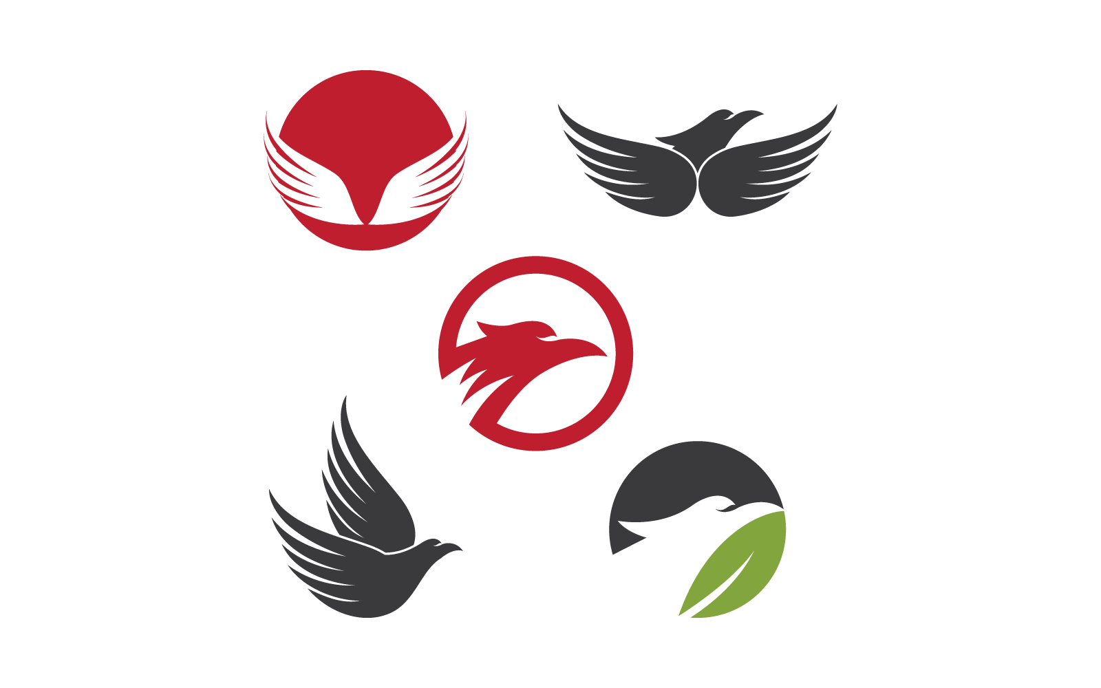Falken-Adler-Vogel-Vektor-Illustration-Logo-Design