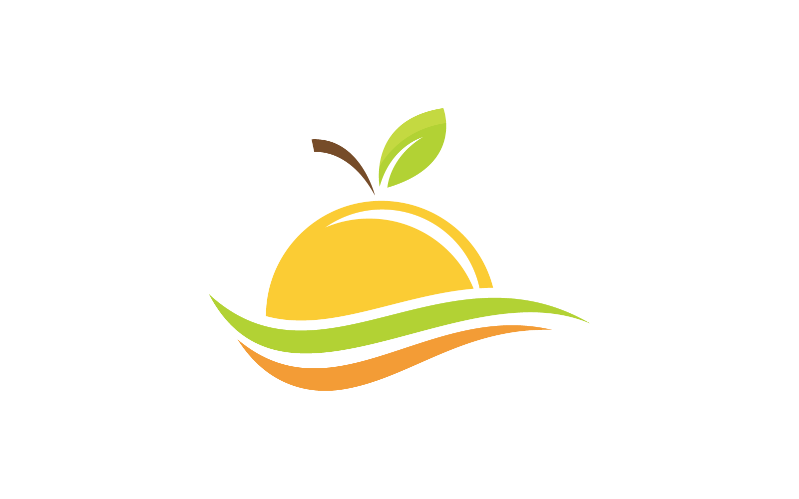 Orange fruit design logo Vector illustration template