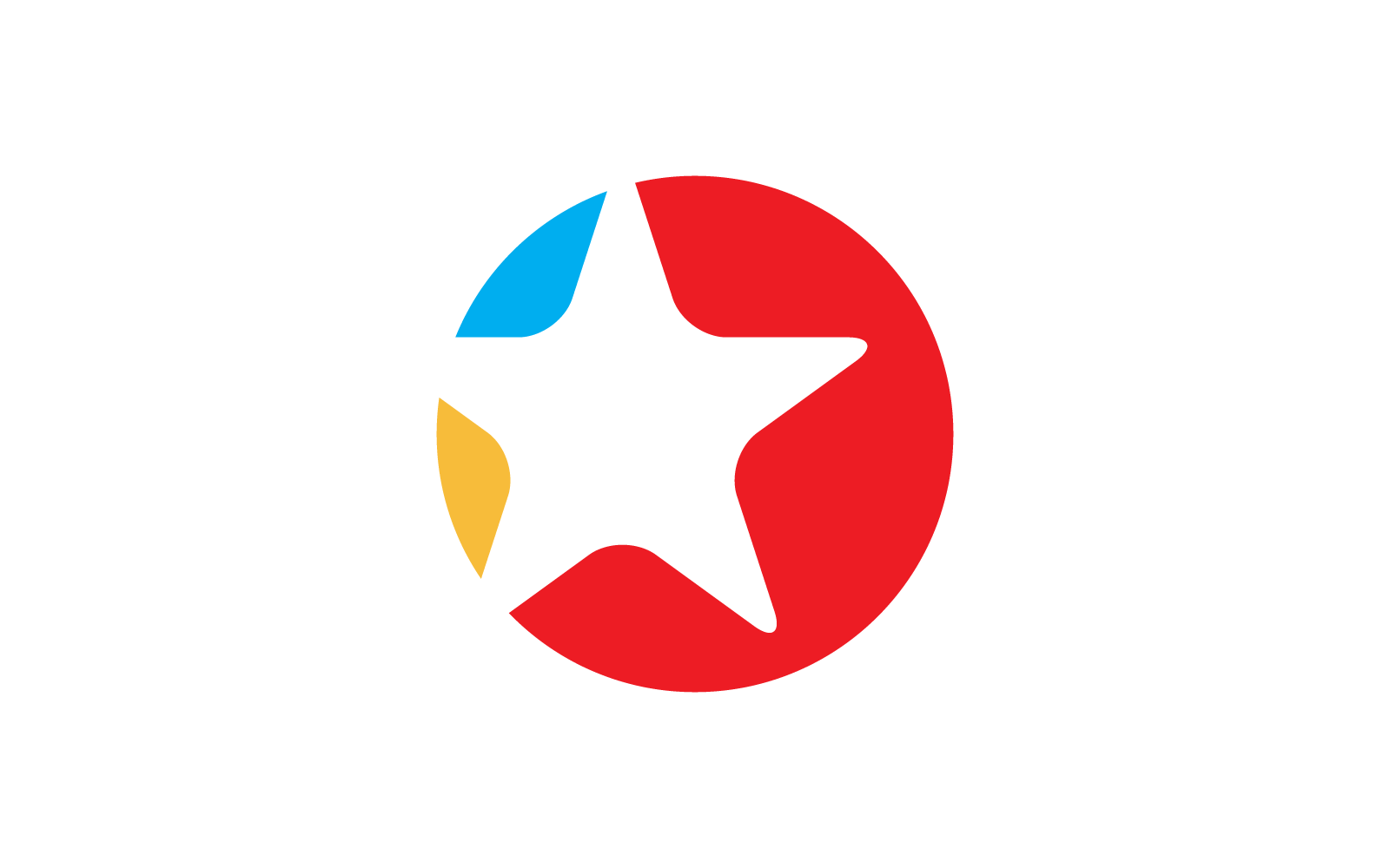 Star Logo icon vector flat design Logo Template