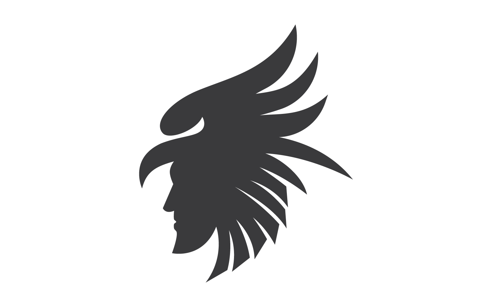 Apache logo vector illustration flat design