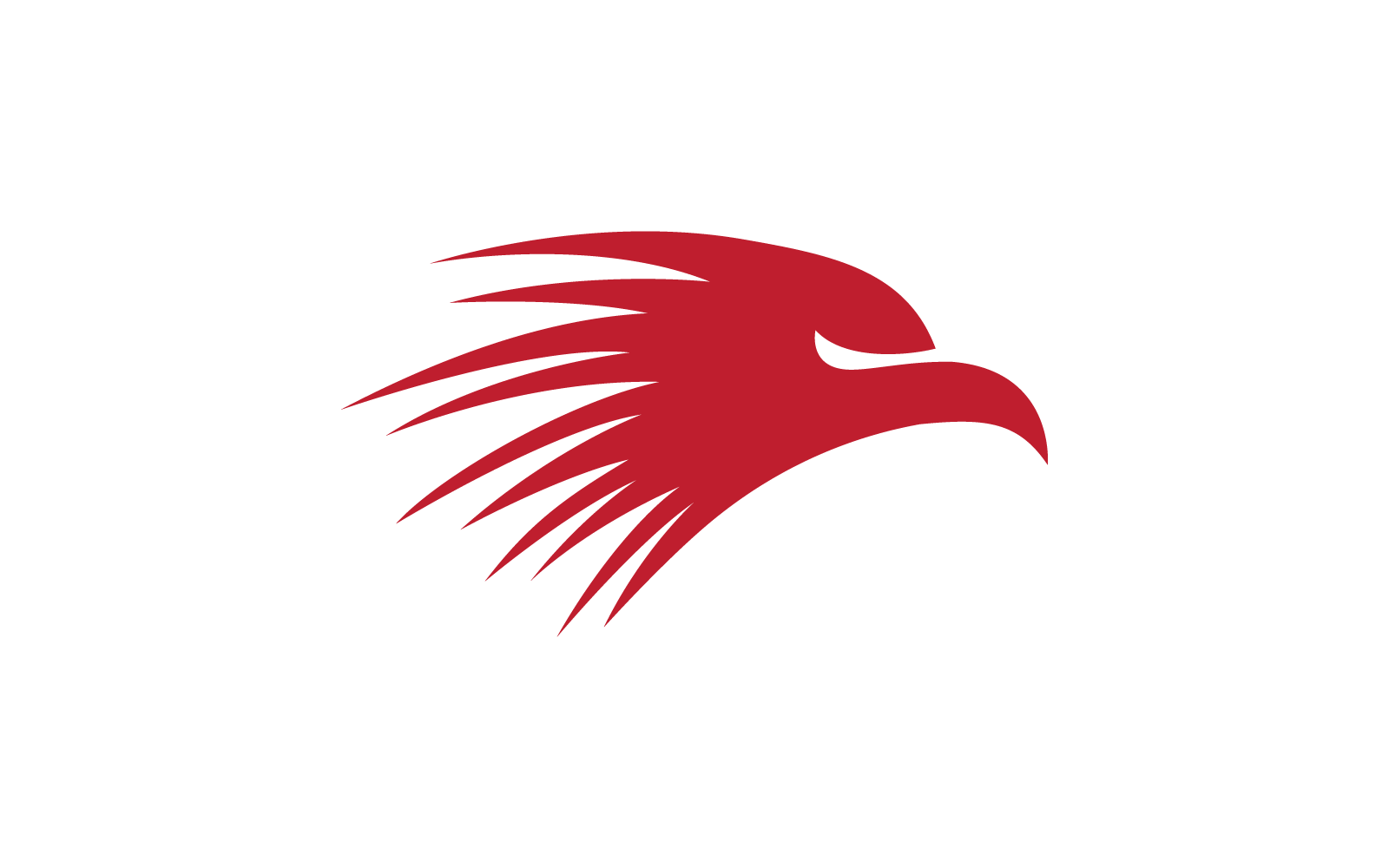 Falcon eagle bird logo flat design template