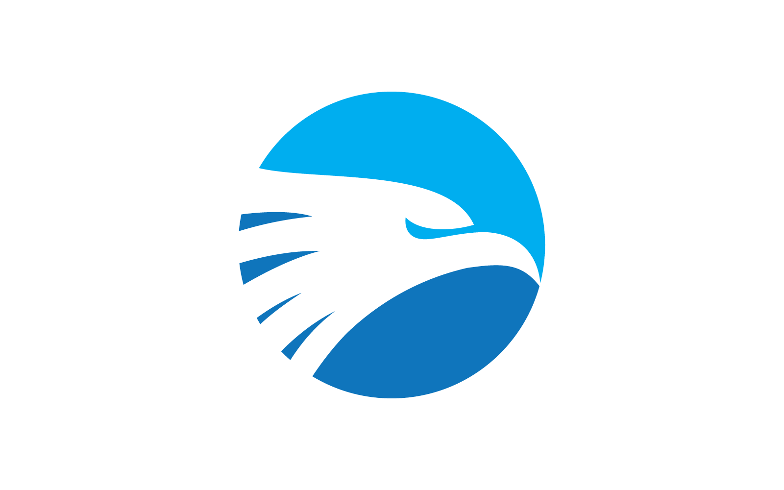 Falcon eagle bird logo vector template flat design