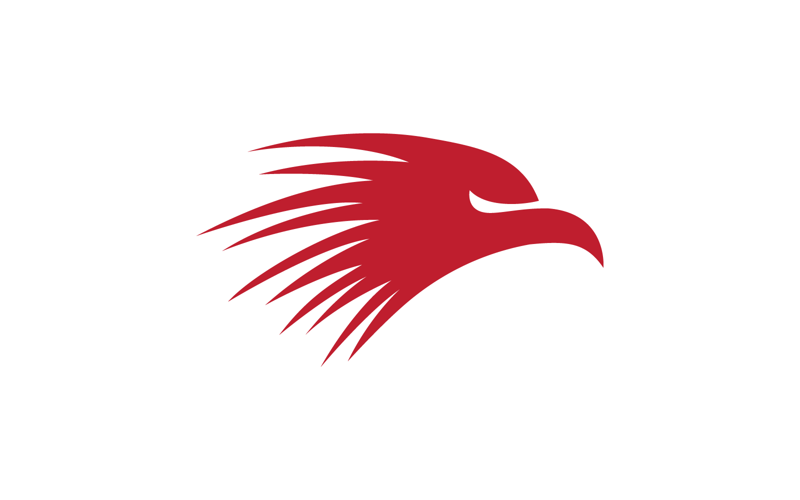 Płaski szablon logo ptaka sokoła orła