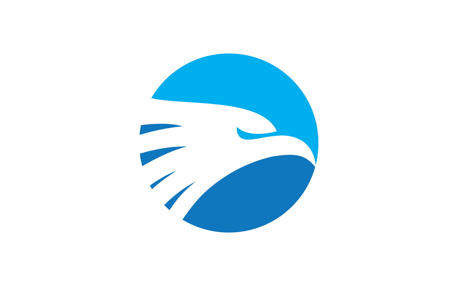 Sokół orzeł ptak logo wektor szablon Płaska konstrukcja