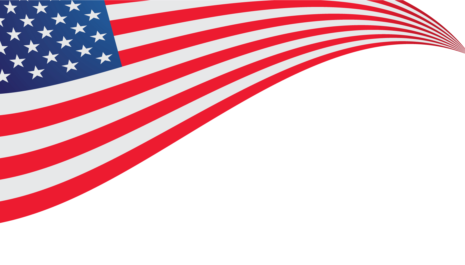 Amerikaanse vlag logo illustratie vector ontwerpsjabloon