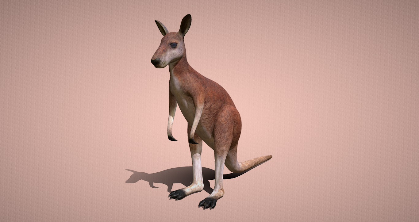 Leap into Creativity with our Kangaroo 3D Model: Perfect for Dynamic Presentations