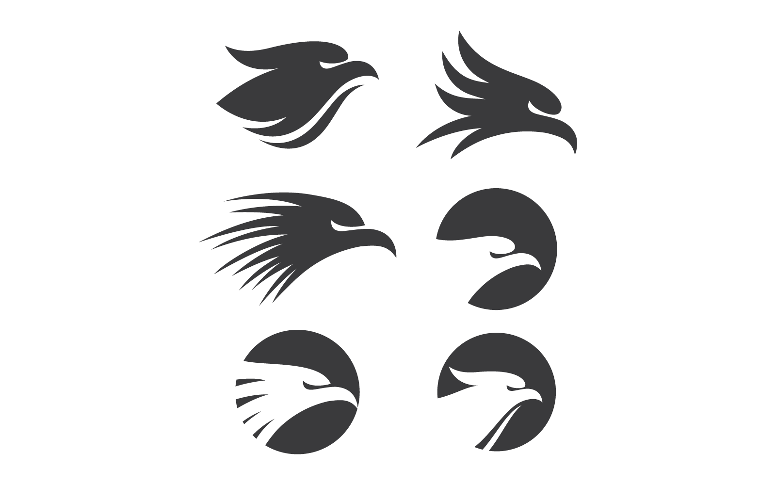 Falcon eagle bird logo illustration vector flat design Logo Template