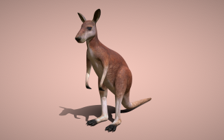 Leap into Creativity with our Kangaroo 3D Model: Perfect for Dynamic Presentations