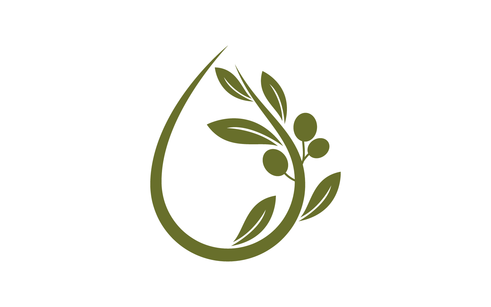 Olijf ontwerp illustratie vector sjabloon