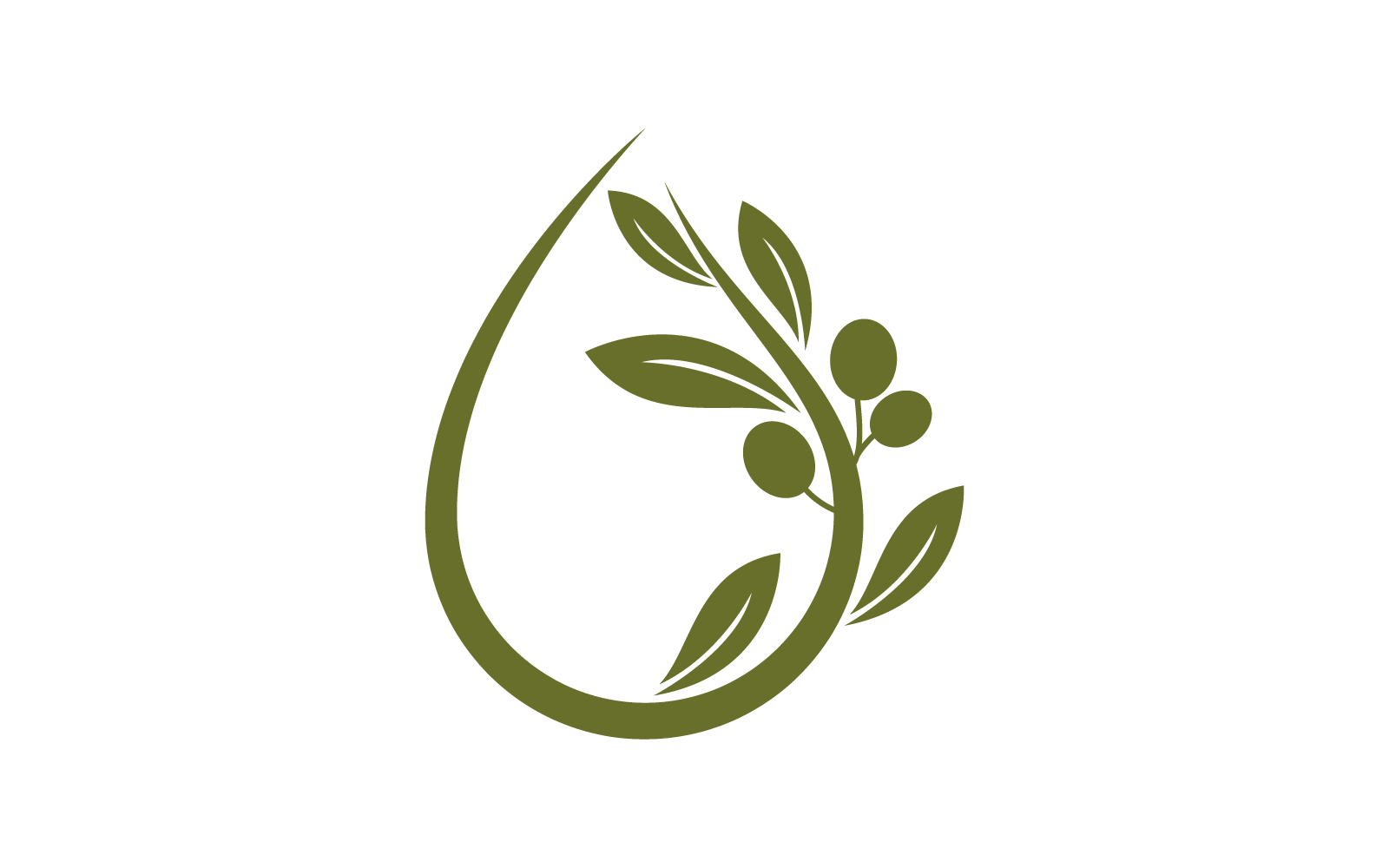 Olive design illustration vector template
