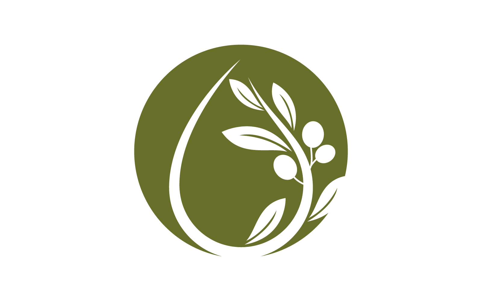 Olive logo vector illustration icon flat design template